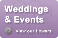 Weddings & Events