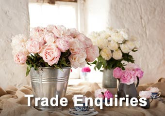 Trade Flowers