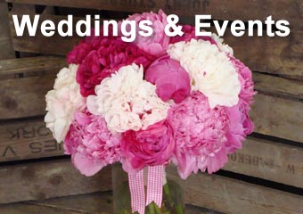 Flowers for Weddings and Events