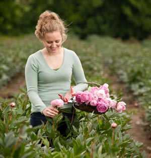 Peony Care